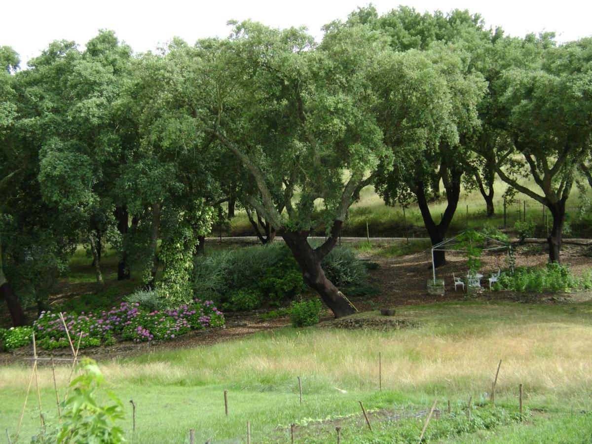 Quinta Do Cano Έβορα Εξωτερικό φωτογραφία