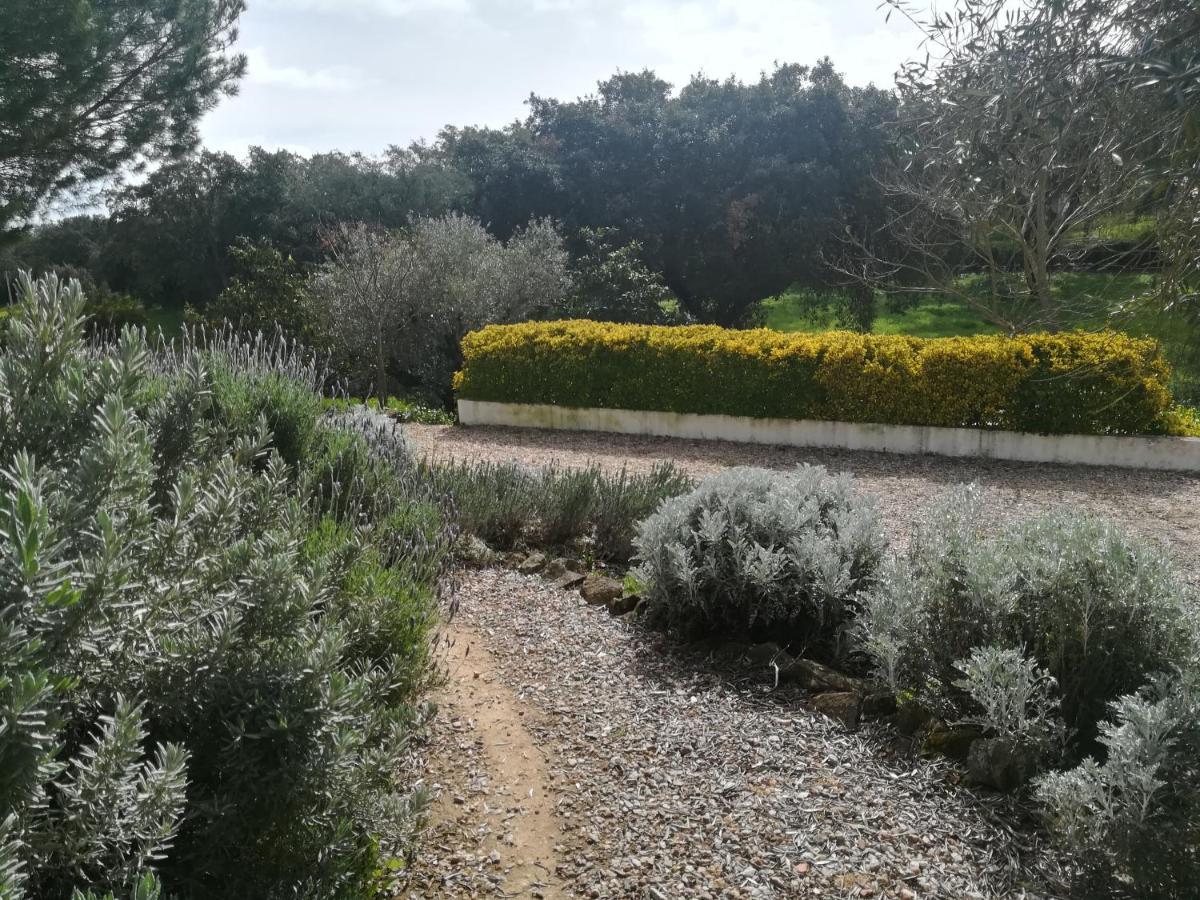 Quinta Do Cano Έβορα Εξωτερικό φωτογραφία